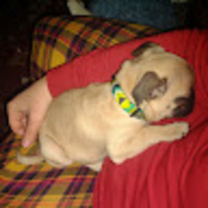 Meet your Posher, Lori